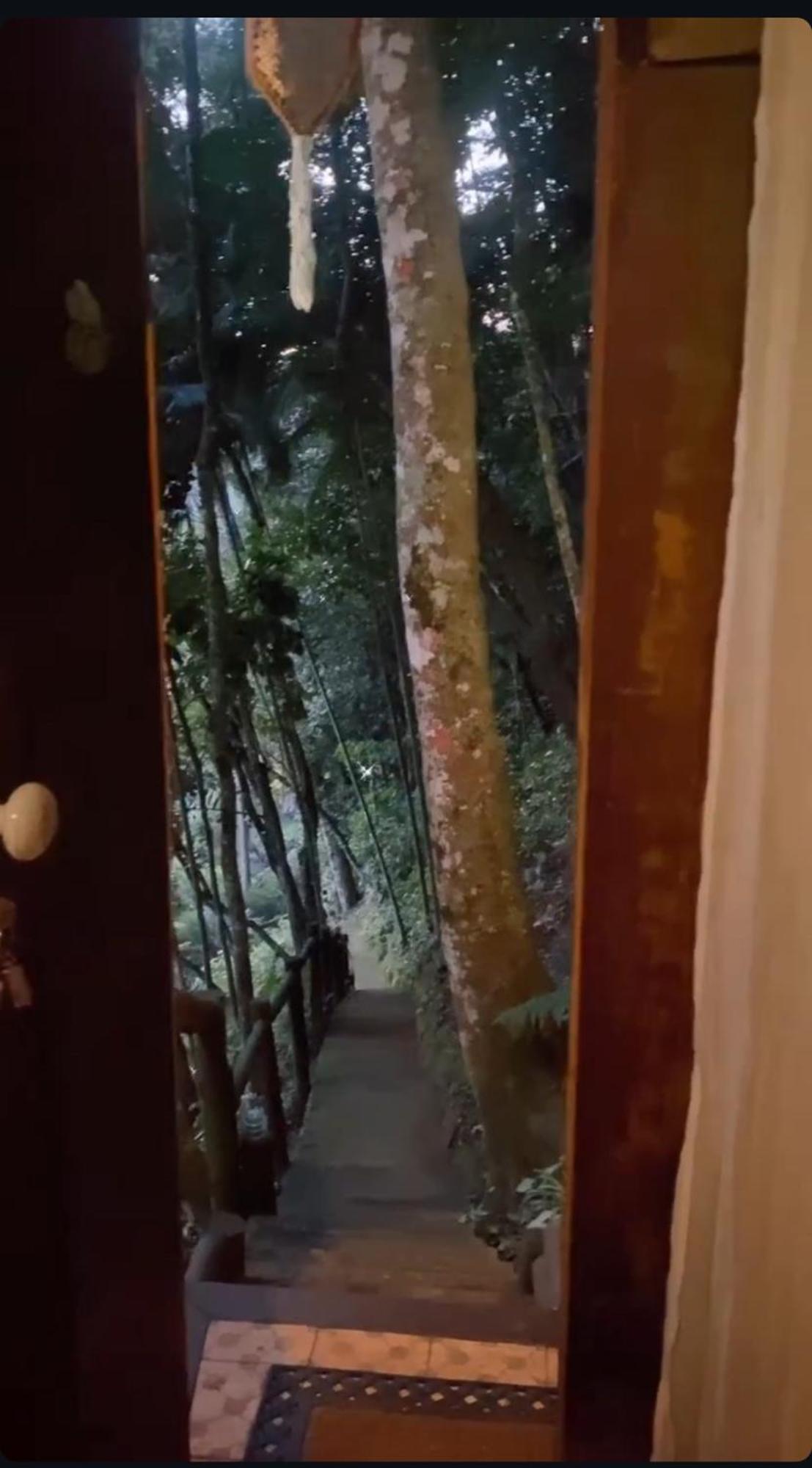 Bangalo Na Natureza *